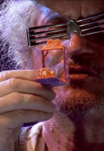 O Significador de Insignificâncias (O Significador de Insignificâncias)