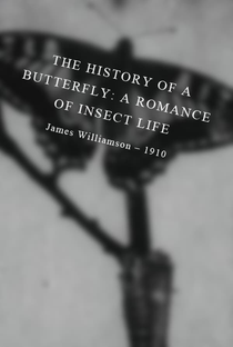 The History of a Butterfly: A Romance of Insect Life - Poster / Capa / Cartaz - Oficial 1