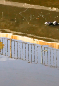 O Mundo do Rio Não é o Mundo da Ponte (O Mundo do Rio Não é o Mundo da Ponte)