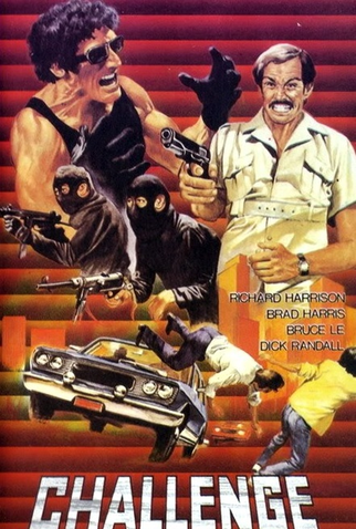 Poster 4 de Filme O Desafio do Tigre (1980)