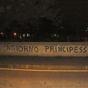 Foto de perfil de carol