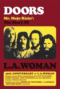 Mr. Mojo Risin' - Poster / Capa / Cartaz - Oficial 1