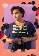 Blackbird Blackbird Blackberry (Blackbird Blackbird Blackberry)