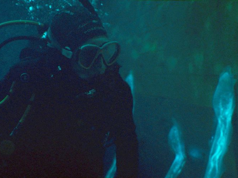 Foto 4 de Contágio em Alto Mar