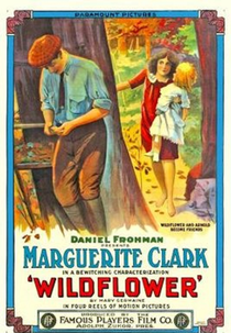 Wildflower (Wildflower)