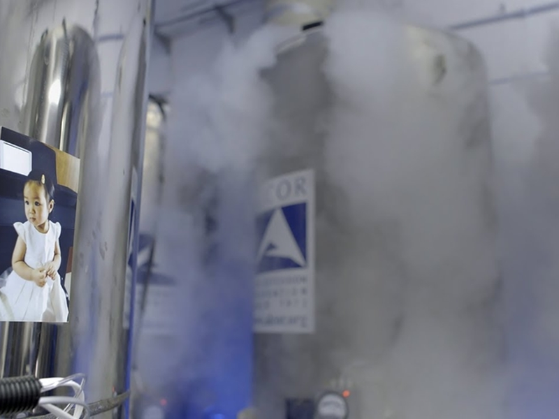 Foto 7 de Contornando a Morte