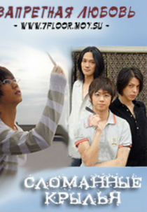 Tsubasa no Kakera (Ren'ai shindan)