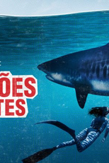 Tubarões Gigantes (World's Biggest Tiger Shark)