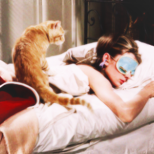 Foto de perfil de Andy.