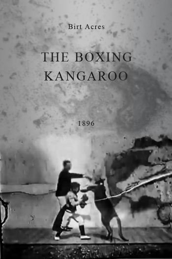 Poster de Curta The Boxing Kangaroo (1896)