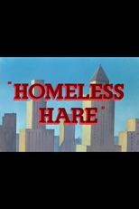 Coelho Sem Lar (Homeless Hare)