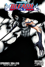 Bleach (14ª Temporada) (ブリーチ シーズン14)