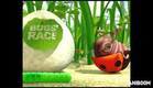 Bugs Race - Funny Brilliant Animation by Anna Jurkiewicz & Andrzej Ellert