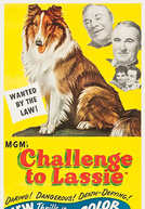 Desafio de Lassie (Challenge to Lassie)