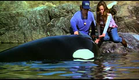 Free Willy 2 (1995) trailer.