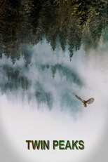 Twin Peaks (Twin Peaks)