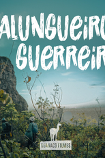 Kalungueiro Guerreiro (Kalungueiro Guerreiro)