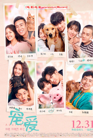 Poster 1 de Filme Adoring (2019)