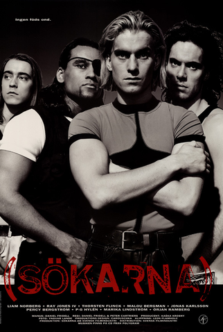 Poster 3 de Filme Sökarna (1993)