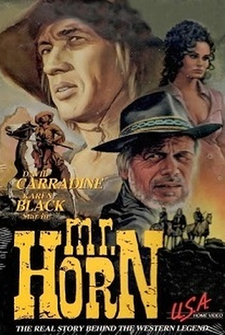 Poster 2 de Filme O Pistoleiro do Deserto (1979)