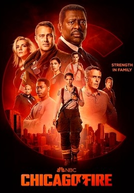 Chicago Fire: Heróis Contra o Fogo (11ª Temporada) (Chicago Fire (Season 11))