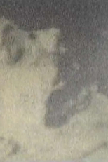 Elizabeth Short (Elizabeth Short)