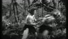 Tarzan's Peril 1951 Trailer Lex Barker