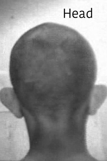 Poster de Curta Head (1976)