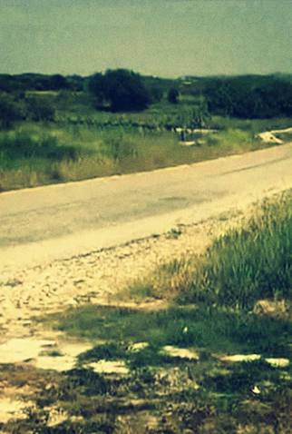 Poster 1 de Curta Whether or Not You Believe (2007)