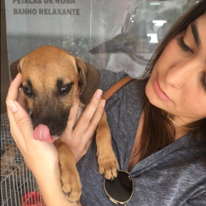 Foto de perfil de Maísa Helena L. Rabelo