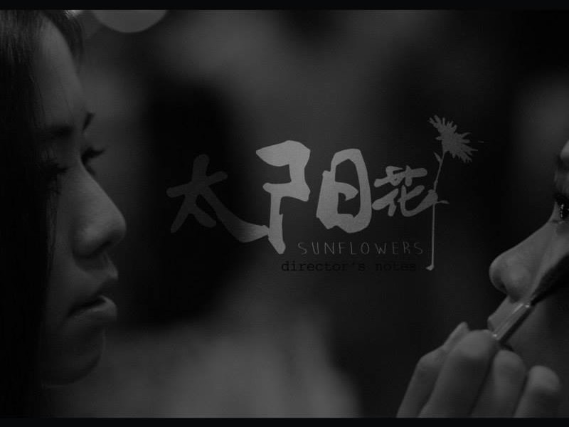 Foto 4 de Sunflowers