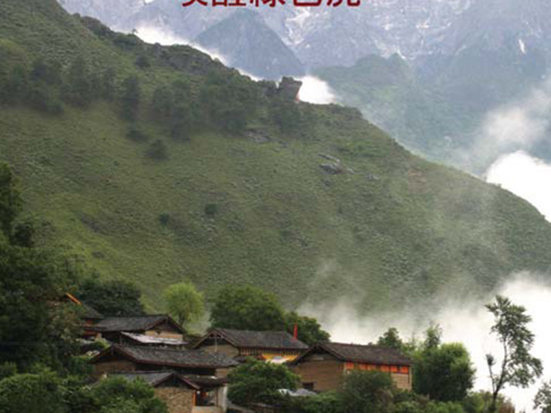 Foto 4 de Waking the Green Tiger