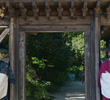 8회