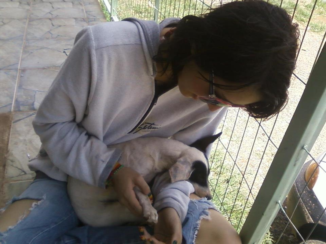 Rai Ricceo - Foto 3