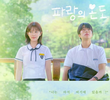 파랑의 온도