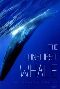 The Loneliest Whale: The Search For 52 - Poster / Capa / Cartaz - Oficial 1