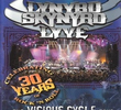 Lynyrd Skynyrd Lyve: The Vicious Cycle Tour