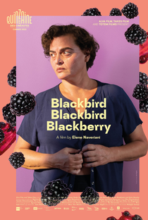 Blackbird Blackbird Blackberry - Poster / Capa / Cartaz - Oficial 1