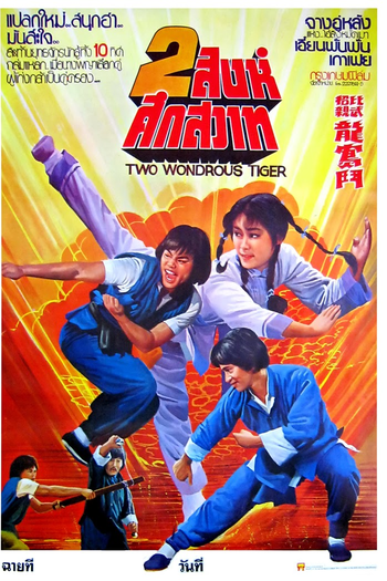 Poster de Filme Two Wondrous Tigers (1979)