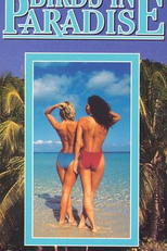 Desinibidas do Paraíso (Birds In Paradise)