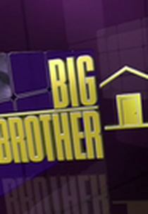 Big Brother 11 (Big Brother 11)