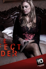 O Crime Quase Perfeito (1ª Temporada) (The Perfect Murder (Season 1))