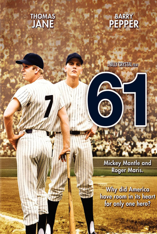 Poster 1 de Filme O Sonho do Record (2001)