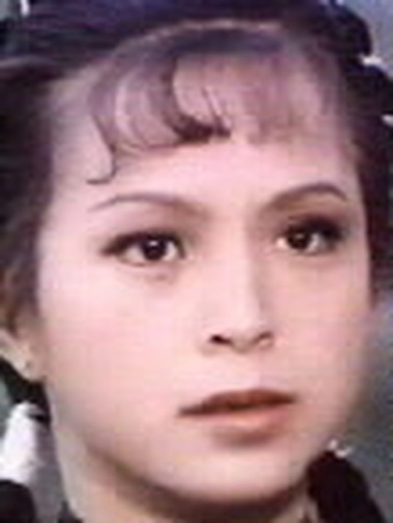 Chu Yuan - Foto 1
