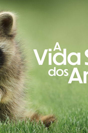 Poster de Série A vida Secreta dos Animais (2024)