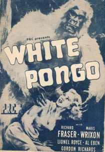 Pongo, O Gorila Branco (White Pongo)