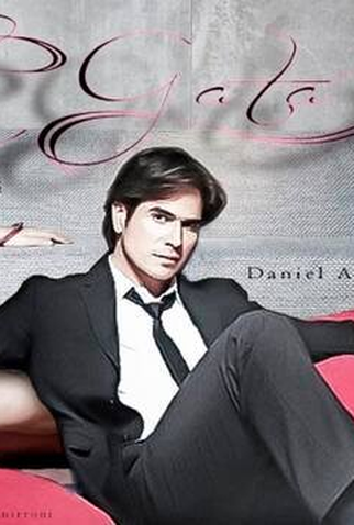 Poster 2 de TV A Gata (2014)