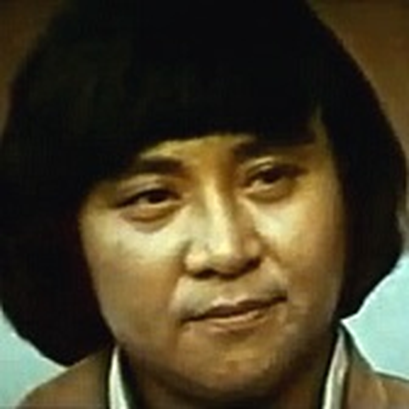 San-Chu Wu - Foto 1