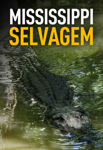 Mississippi Selvagem (Mississippi Selvagem)