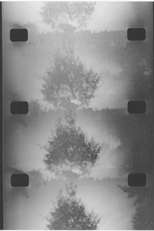 Natura Obscura (Natura Obscura)